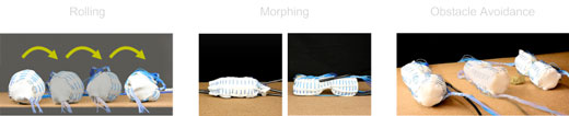 shape-changing robots