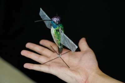 robotic hummingbird