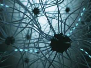 interactions between neurons