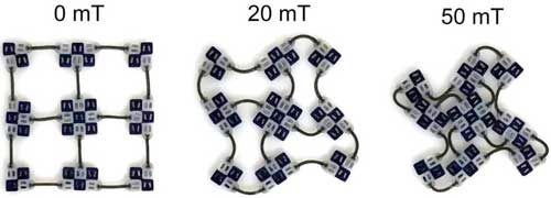a combination of magnetic modules and flexible connectors
