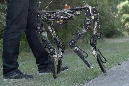 From grass to concrete: A giant leap for a self-learning robot
