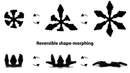 heterogeneous assembly approach fabricates a flower-shaped soft machine with complex stiffness distribution and reversible shape-morphing