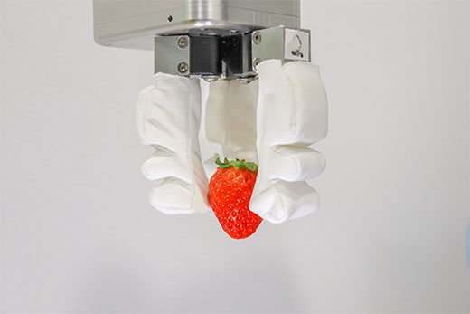 soft robotic gripper holding a strawberry