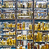 Synthetic intelligence to carry museum specimens to the plenty