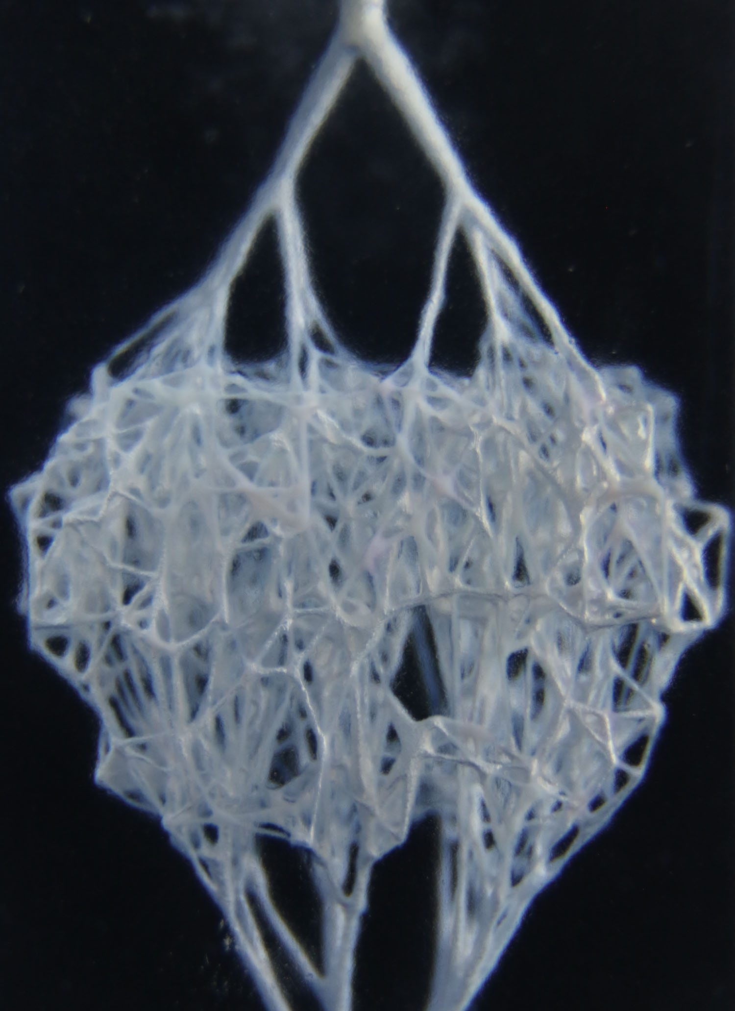 A branching network of channels embedded in plastic