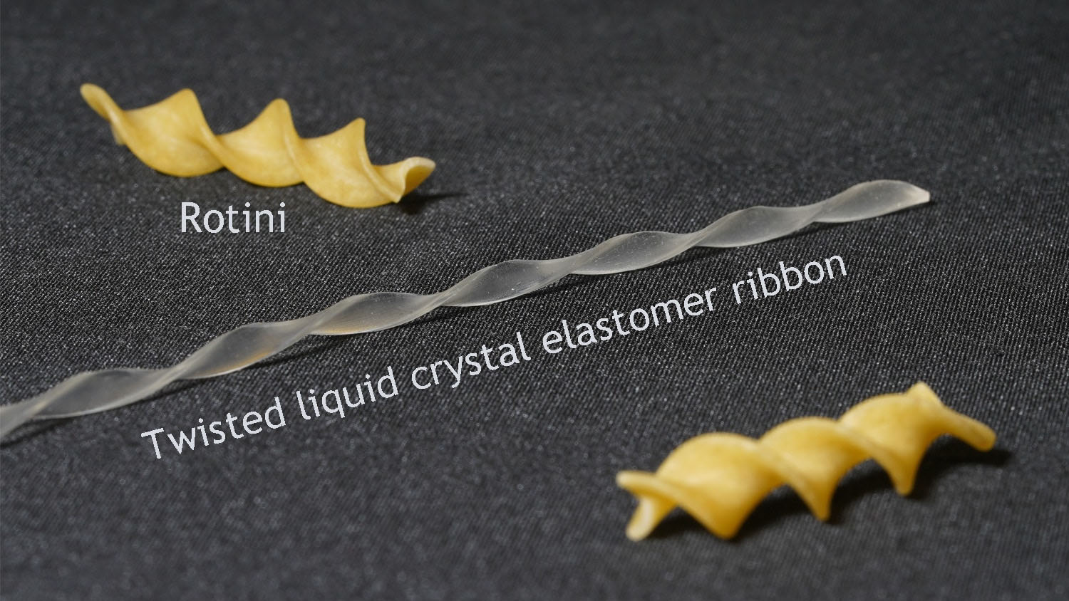 twisted shape of a soft robot resembles rotini pasta