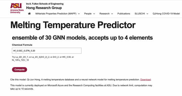 screenshot of model template input