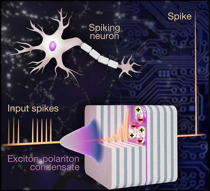 Optical microcavity as a pulsating neuron
