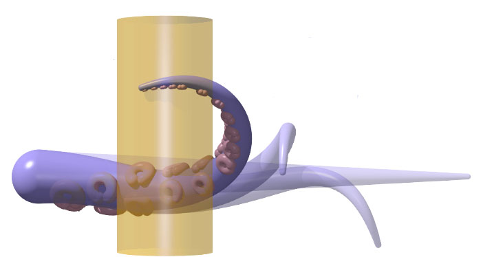 Simulation of an octopus grasping a cylinder