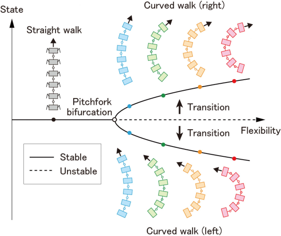 Stable and unstable walking patterns depending on the body-axis flexibility
