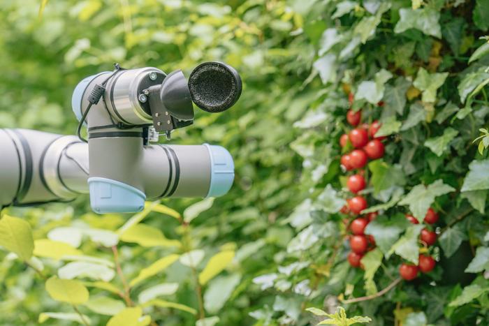 A robot tomato picker arm designed by ChatGPT