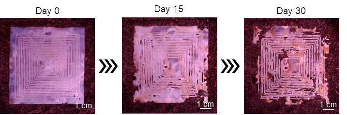 dexomposing soil moisture sensor