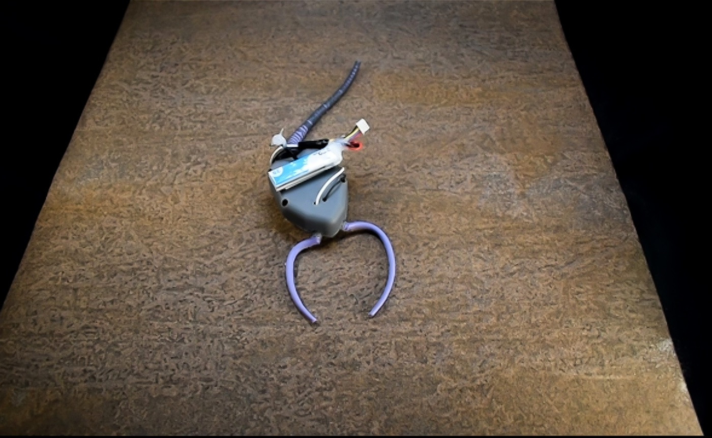 scientists used robotics to replicate an extinct organism from the Paleozoic Era