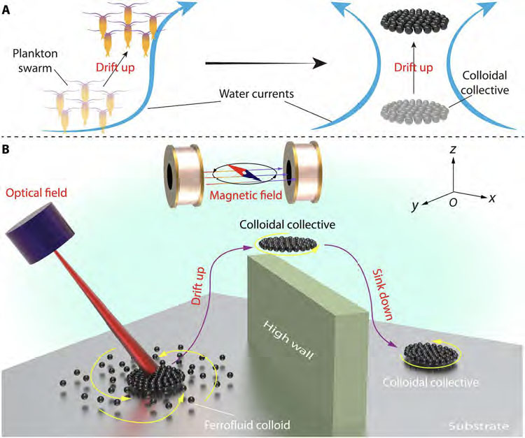 Three-dimensional drifting control of magnetic colloidal collectives
