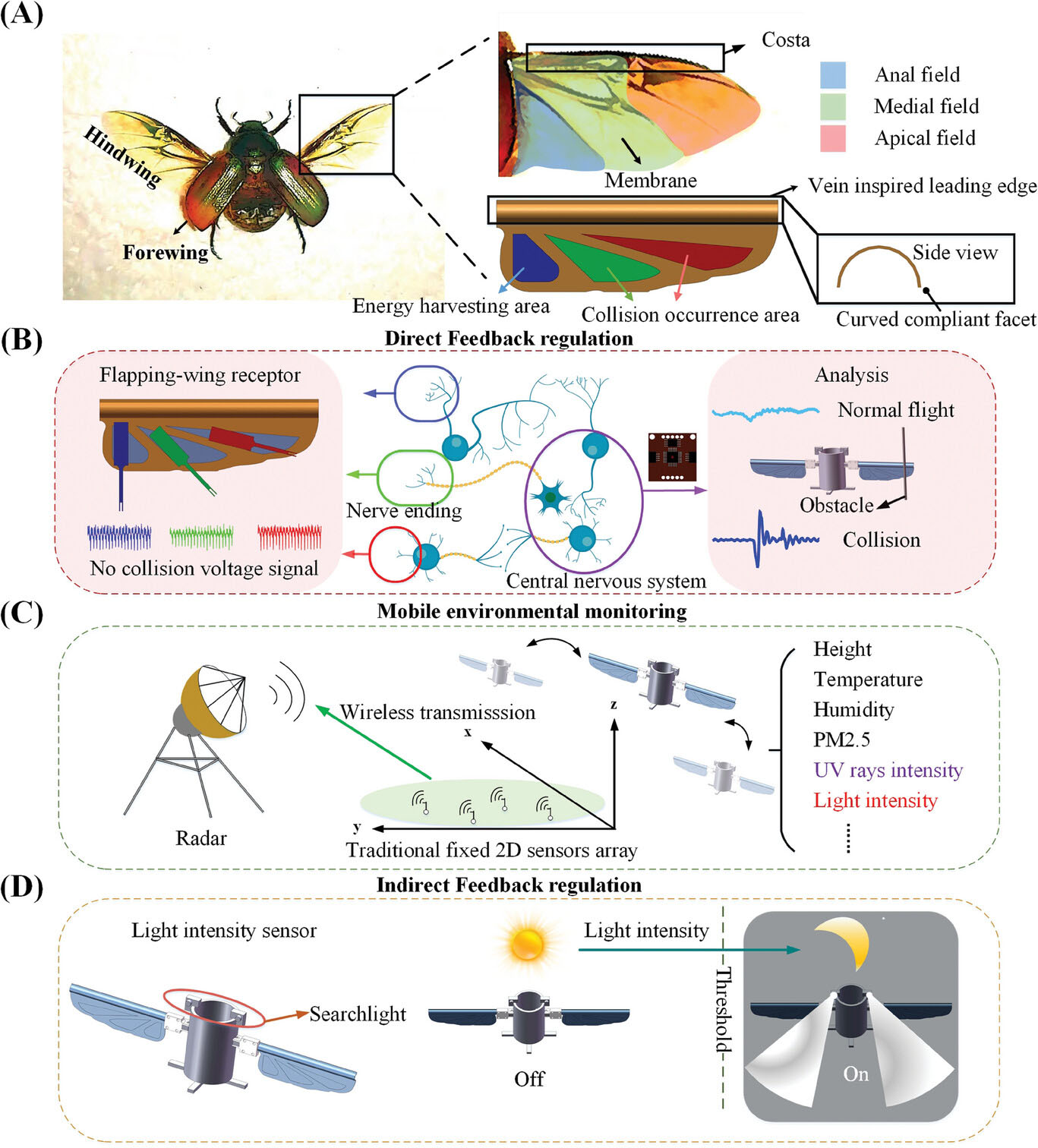 Biomimetic designs of the flapping wing and potential applications