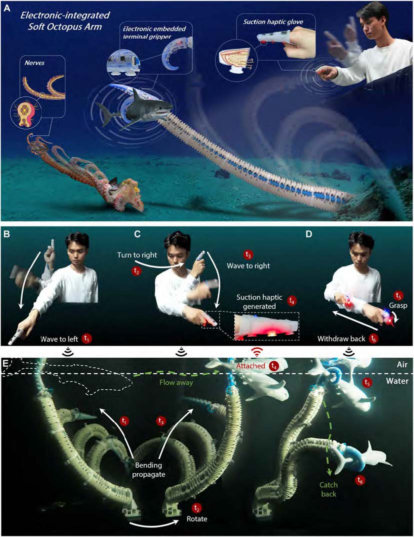 electronics-integrated soft octopus arm for human interactive manipulation in complex environment