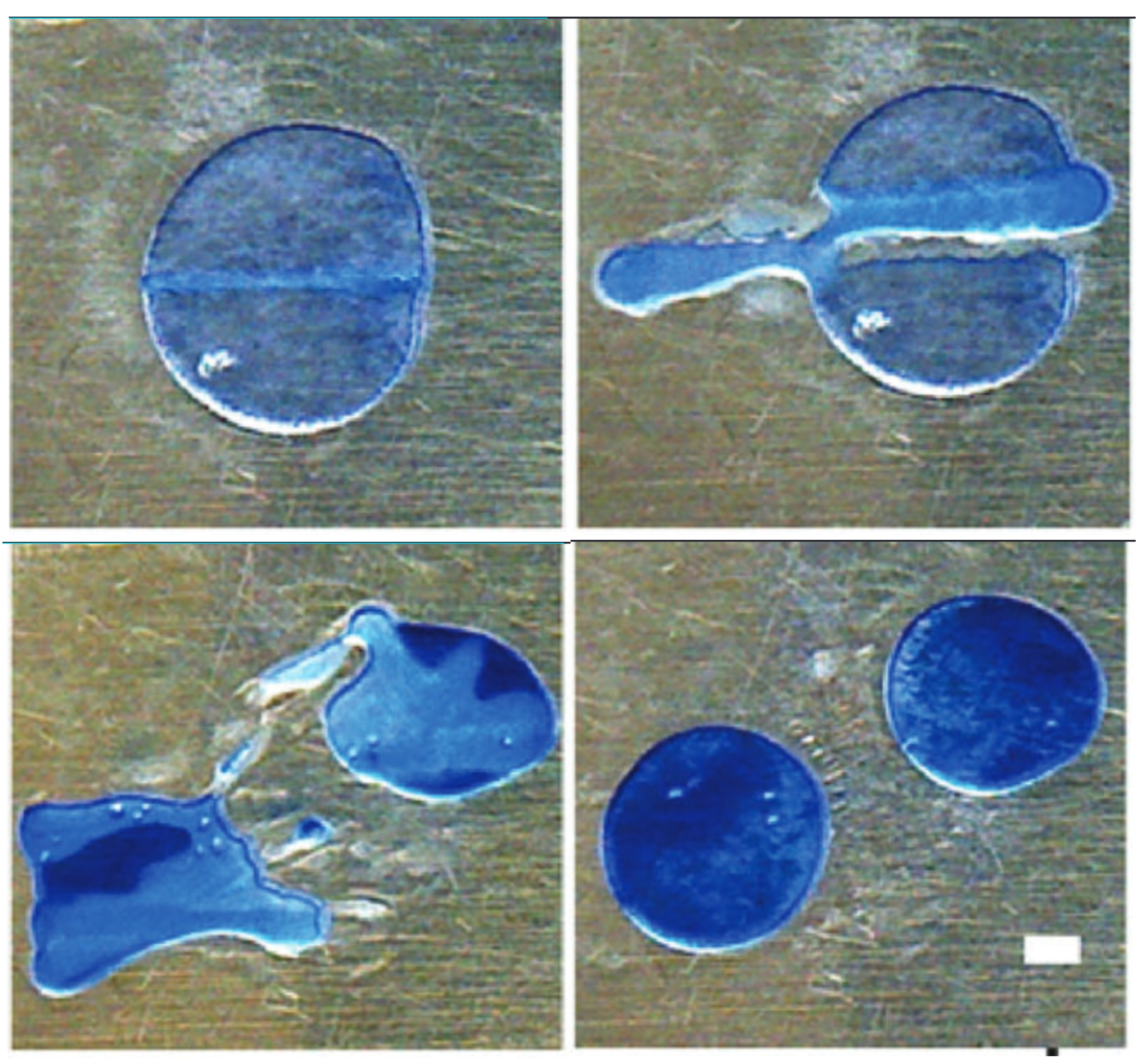 Clockwise from top left, a blog of paraffin is transformed without direct contact