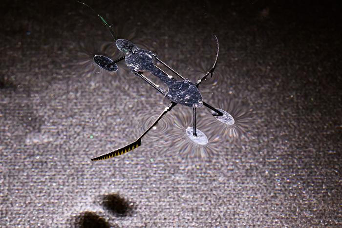 A water skimmer robot