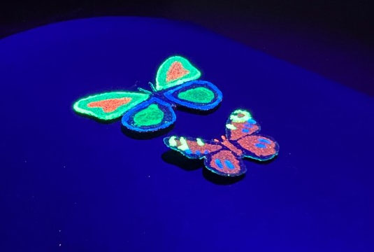 3D-printed magnetic butterflies