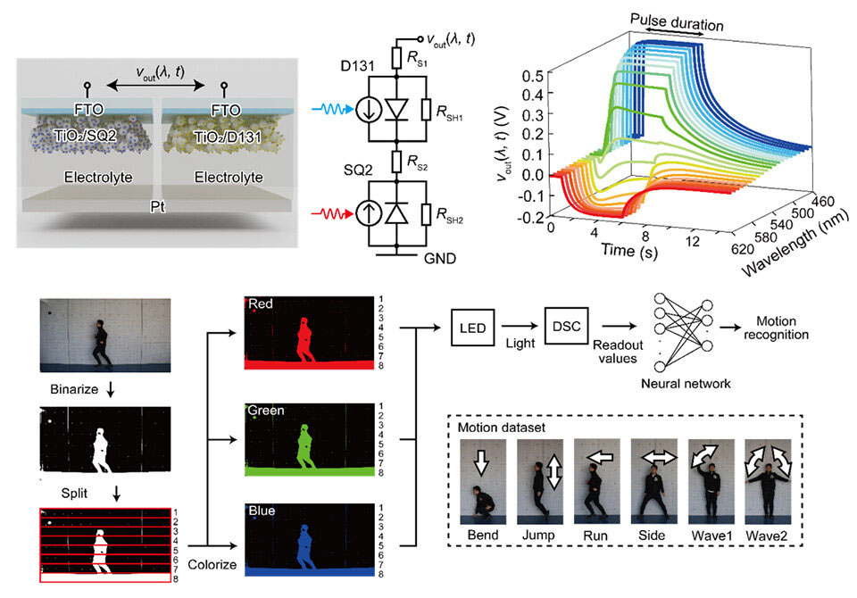 Testing a new artificial synapse for computer vision tasks