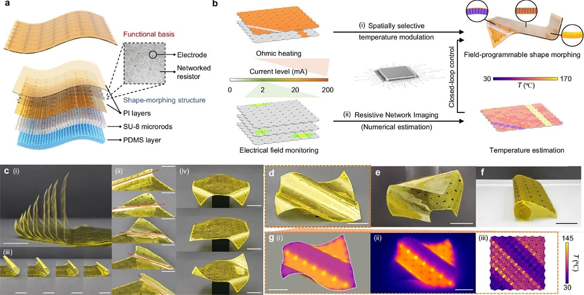 robotic folding sheet