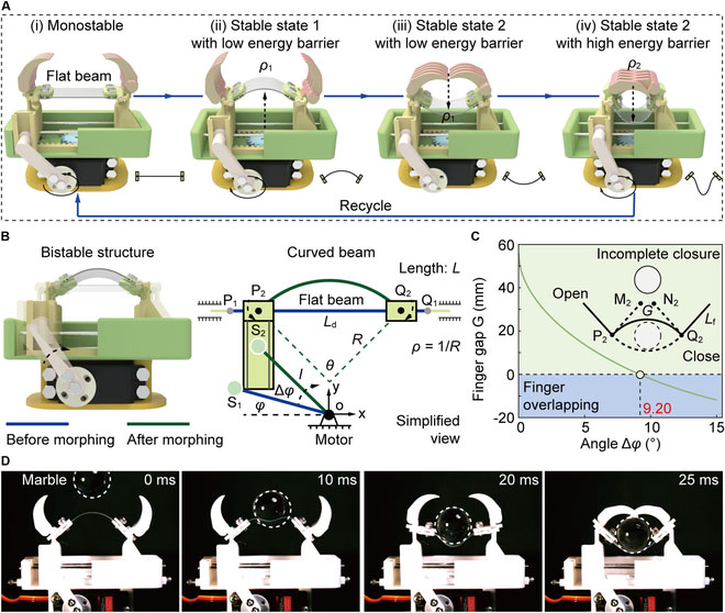 robotic gripper