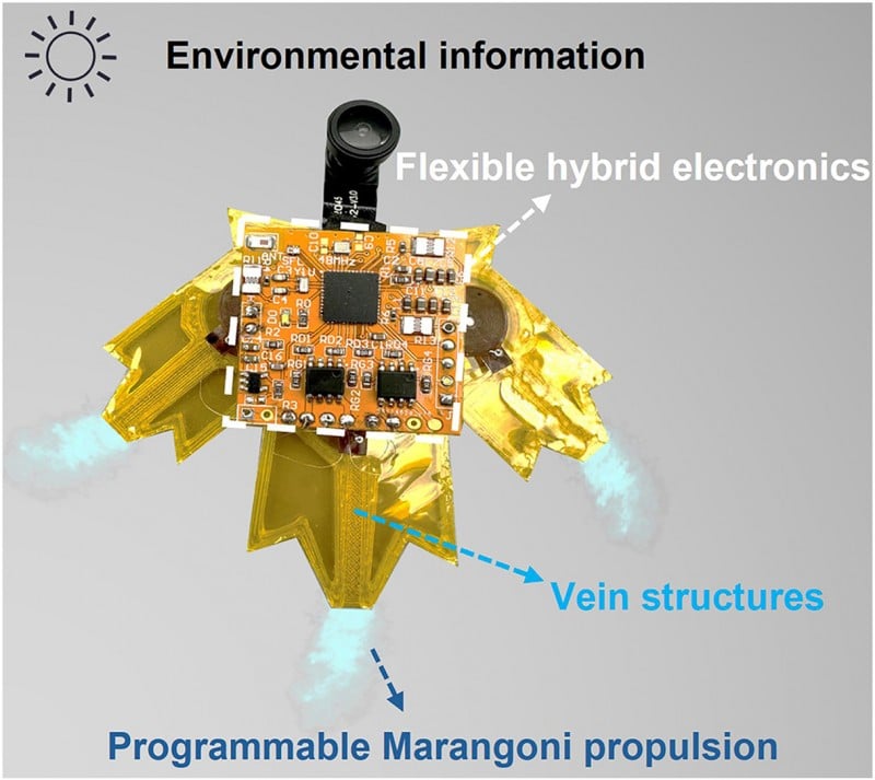 Leaf-inspired aquabot with programmable propulsion and sensing