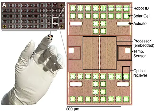 production of microrobot