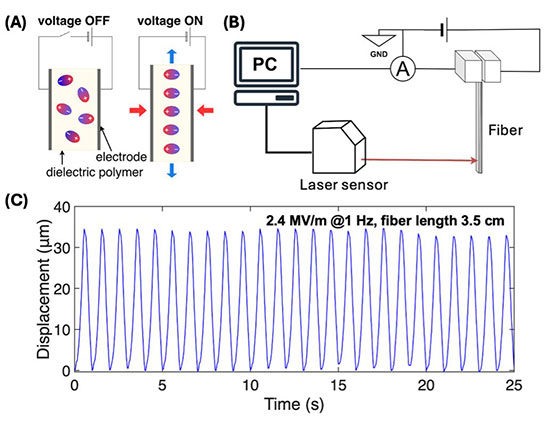 Operating principle and displacement response of the electrically driven soft fiber actuator