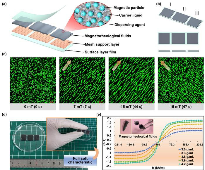 Soft sheet robot detailed design and magnetization characteristics of magnetorheological fluids