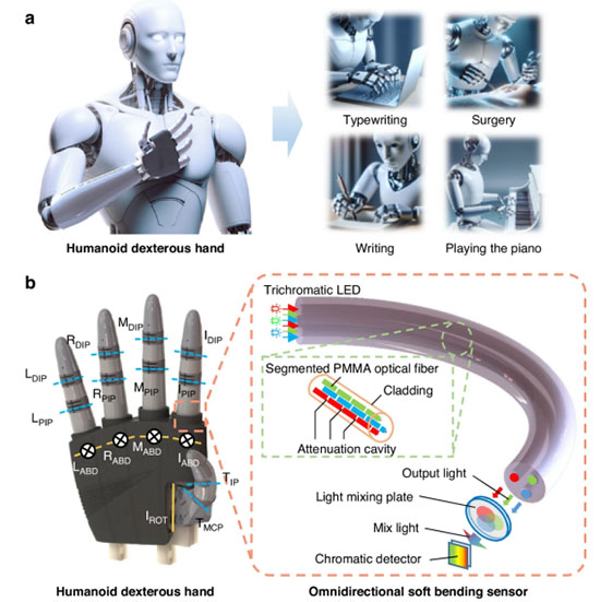 Systematic overview of the humanoid dexterous hand with multi-degree-of-freedom posture perception
