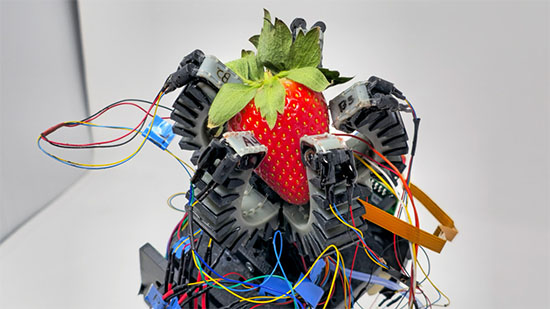 robotic gripper with strawberry