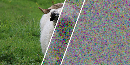 A sheep image encrypted using ordinary randomness (center) and certified perfect randomness (right)
