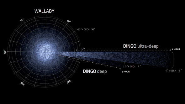 simulated galaxies ASKAP surveys WALLABY and DINGO are predicted to find