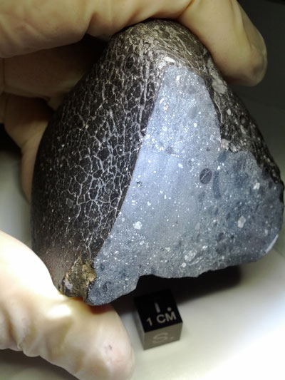 Northwest Africa (NWA) 7034 meteorite