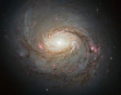 Hubble Image of Messier 77