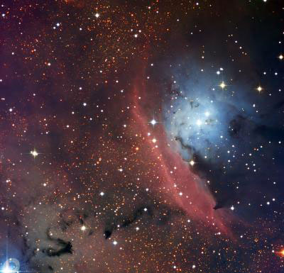 The Star Formation Region NGC 6559