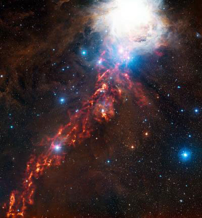 an APEX View of Star Formation in the Orion Nebula