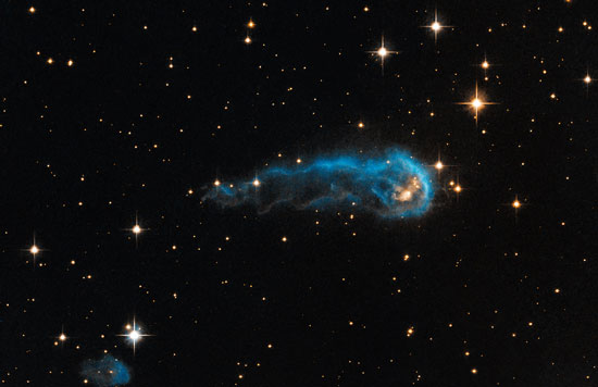 This caterpillar-shaped knot, called IRAS 20324+4057, is a protostar in a very early evolutionary stage