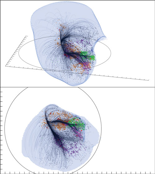 >Two views of the Laniakea Supercluster