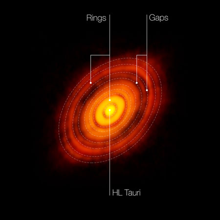 protoplanetary disc surrounding the young star HL Tauri
