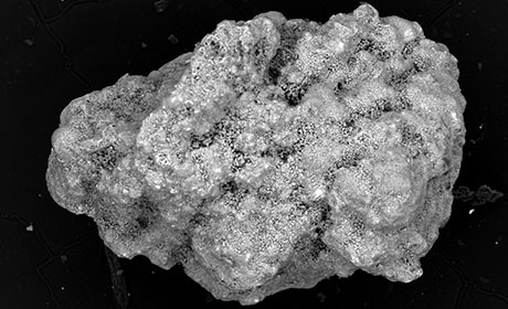 Scanning electron microscope image of a micrometeorite