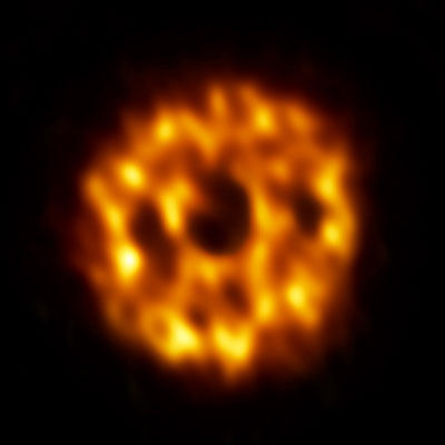 >ALMA image of the dust surrounding the star HD 107146