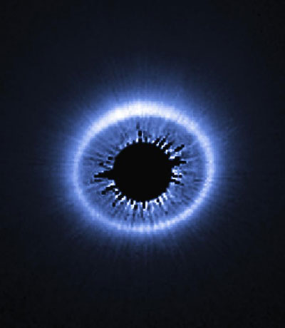 The debris disk around the star HD 181327