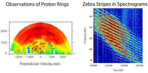 Proton distributions