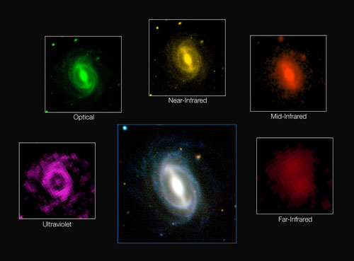 This composite picture shows how a typical galaxy appears at different wavelengths in the GAMA survey