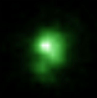Pea Green Galax
