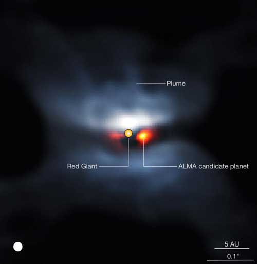 composite view of L2 Puppis in visible light (from the VLT/SPHERE instrument, blue colors) and ALMA continuum (orange colors)