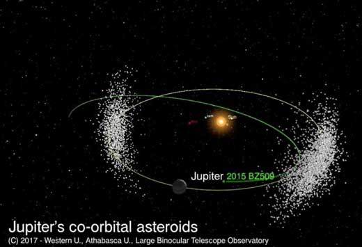 Bee-Zed Asteroid's Orbit