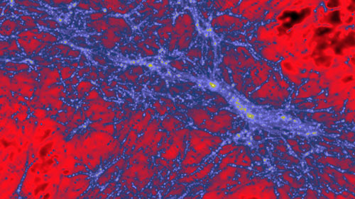 The dark matter density 500 million years after the Big Bang, centred on what would become the Milky Way